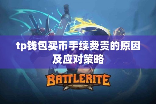 tp钱包买币手续费贵的原因及应对策略