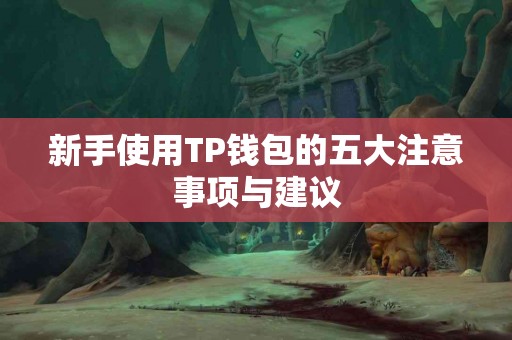 新手使用TP钱包的五大注意事项与建议