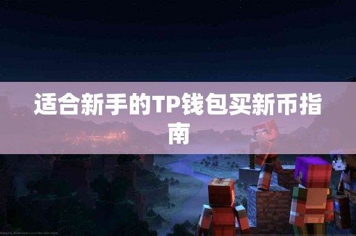 适合新手的TP钱包买新币指南