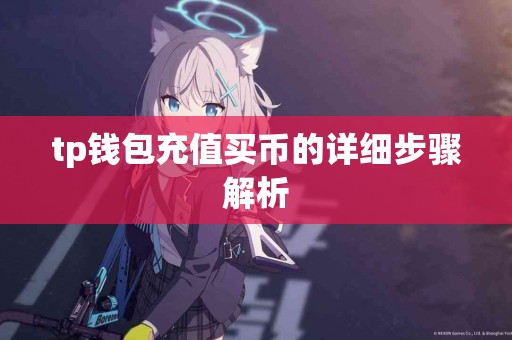 tp钱包充值买币的详细步骤解析