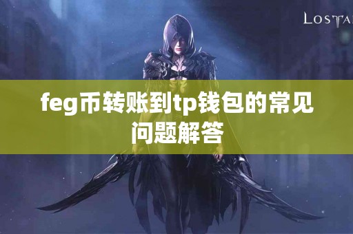 feg币转账到tp钱包的常见问题解答 feg币转账到tp钱包的常见问题解答