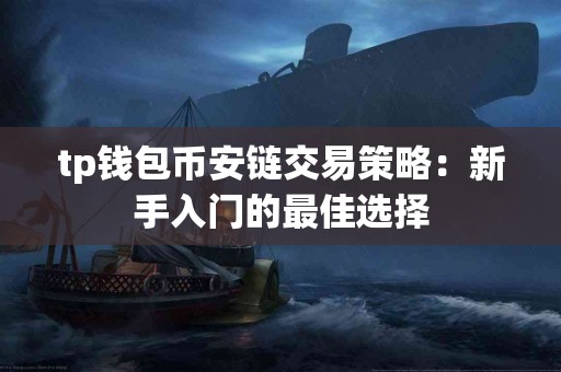 tp钱包币安链交易策略：新手入门的最佳选择