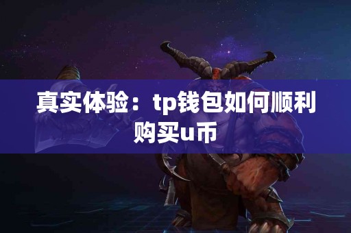 真实体验：tp钱包如何顺利购买u币