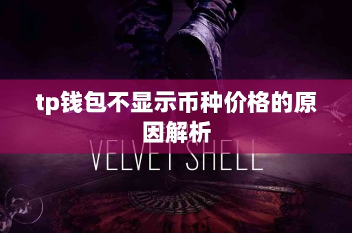 tp钱包不显示币种价格的原因解析 tp钱包不显示币种价格的原因解析