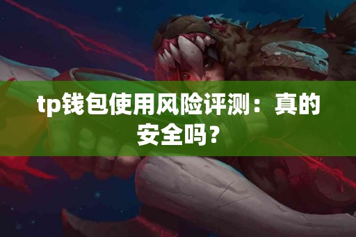 tp钱包使用风险评测：真的安全吗？