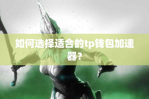 如何选择适合的tp钱包加速器？