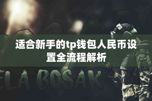 适合新手的tp钱包人民币设置全流程解析 适合新手的tp钱包人民币设置全流程解析