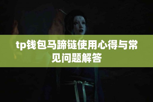 tp钱包马蹄链使用心得与常见问题解答