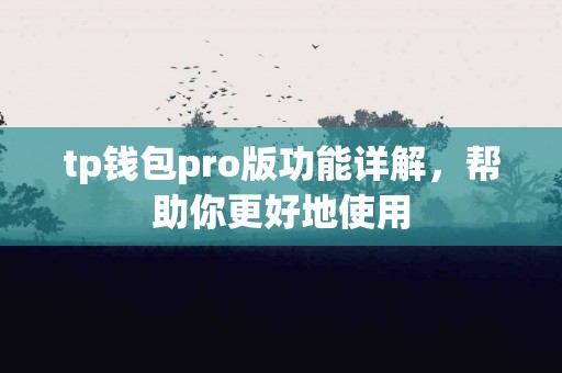 tp钱包pro版功能详解，帮助你更好地使用