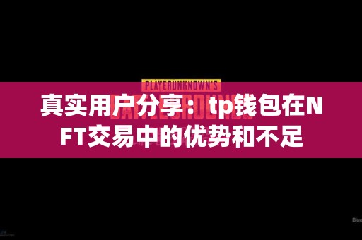 真实用户分享：tp钱包在NFT交易中的优势和不足