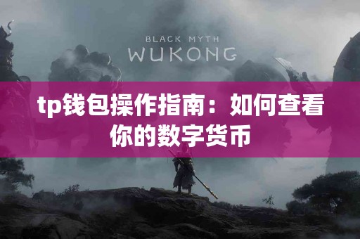 tp钱包操作指南：如何查看你的数字货币