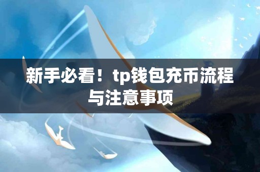 新手必看！tp钱包充币流程与注意事项
