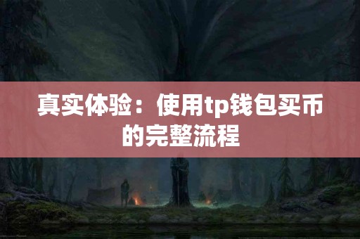 真实体验：使用tp钱包买币的完整流程