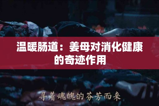 温暖肠道:姜母对消化健康的奇迹作用 温暖肠道:姜母对消化健康的奇迹作用