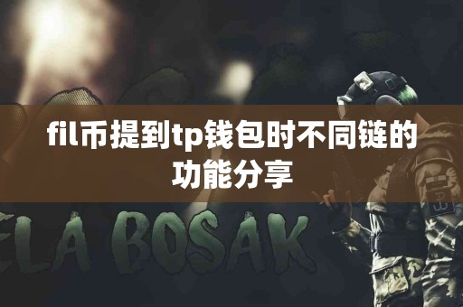 fil币提到tp钱包时不同链的功能分享