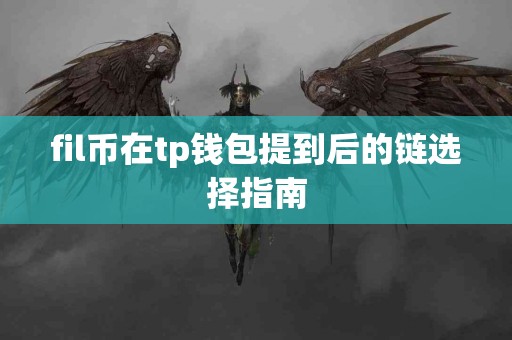 fil币在tp钱包提到后的链选择指南