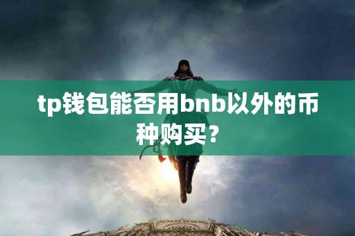 tp钱包能否用bnb以外的币种购买？
