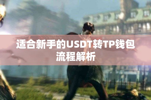 适合新手的USDT转TP钱包流程解析