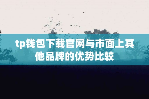 tp钱包下载官网与市面上其他品牌的优势比较