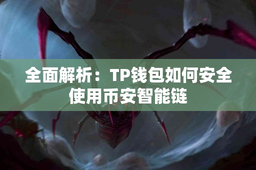 全面解析：TP钱包如何安全使用币安智能链