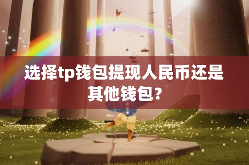 选择tp钱包提现人民币还是其他钱包？