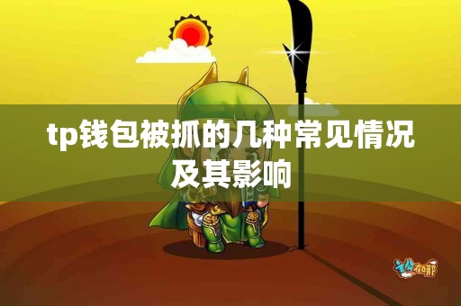 tp钱包被抓的几种常见情况及其影响
