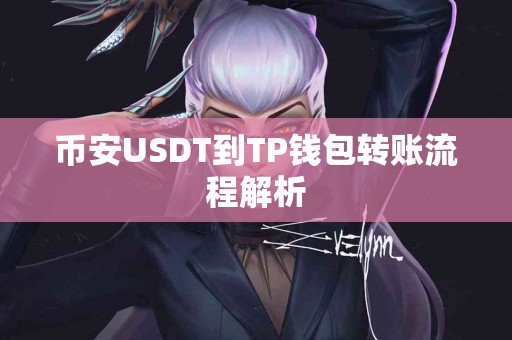 币安USDT到TP钱包转账流程解析