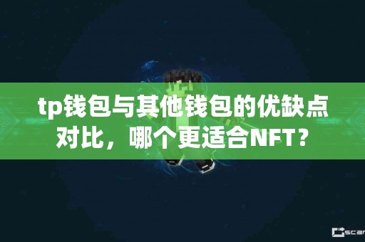 tp钱包与其他钱包的优缺点对比，哪个更适合NFT？