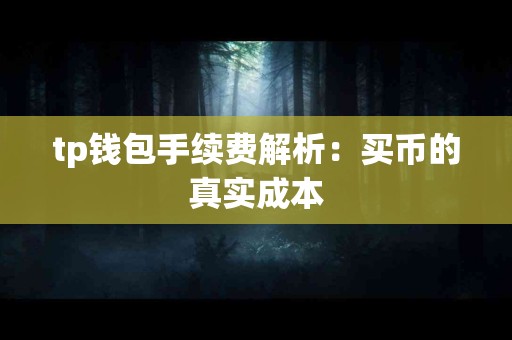 tp钱包手续费解析：买币的真实成本