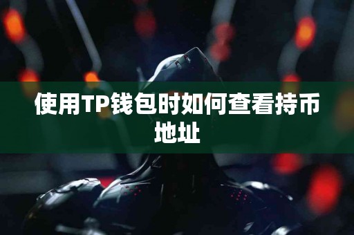 使用TP钱包时如何查看持币地址 使用TP钱包时如何查看持币地址