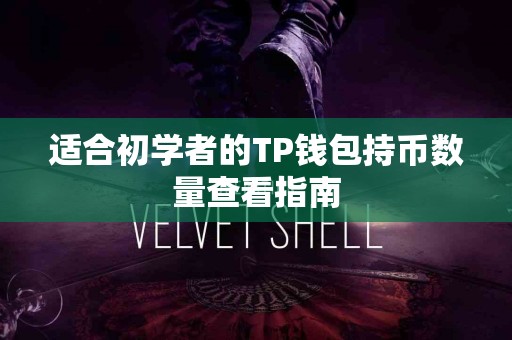 适合初学者的TP钱包持币数量查看指南