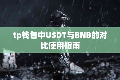 tp钱包中USDT与BNB的对比使用指南