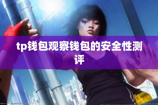 tp钱包观察钱包的安全性测评