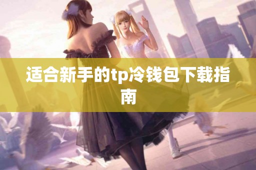 适合新手的tp冷钱包下载指南