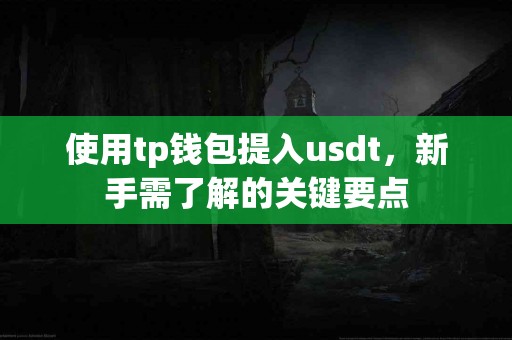 使用tp钱包提入usdt，新手需了解的关键要点