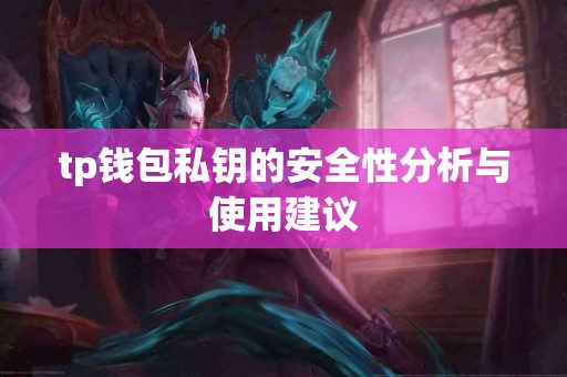 tp钱包私钥的安全性分析与使用建议