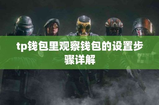 tp钱包里观察钱包的设置步骤详解