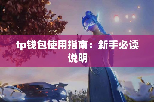 tp钱包使用指南：新手必读说明