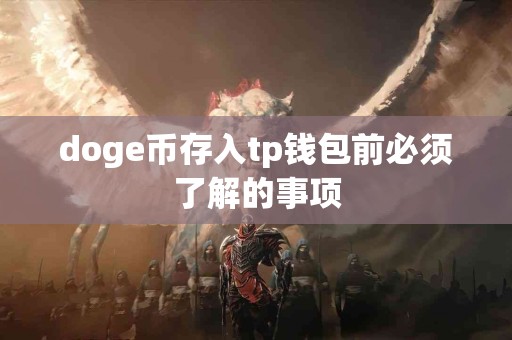 doge币存入tp钱包前必须了解的事项